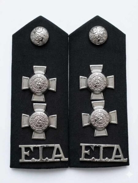 FIA Two Stars Shoulder Rank